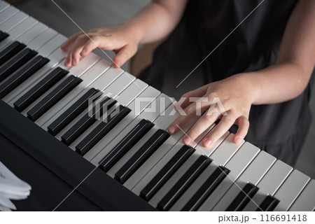 The concept of developing children's activities. A girl in a gray dress plays an electronic piano. 116691418