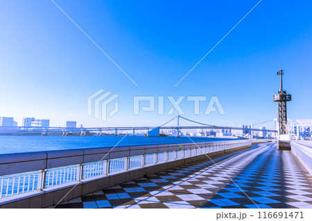 晴海客船ターミナルとレインボーブリッジ 116691471