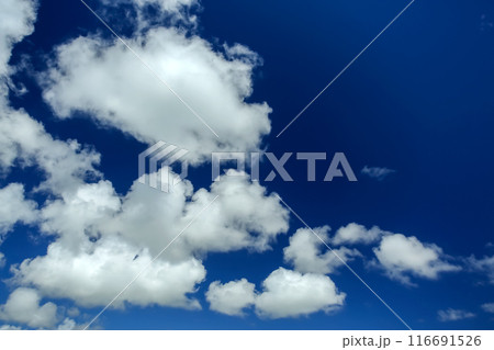 夏の沖縄　青い空と白い雲 116691526