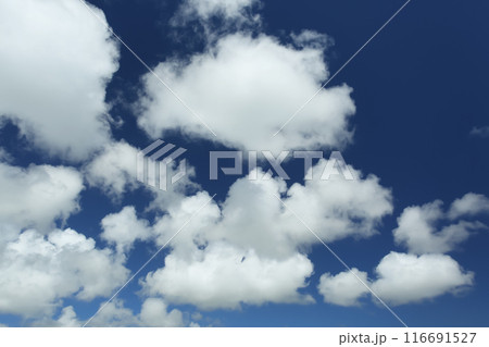 夏の沖縄　青い空と白い雲 116691527