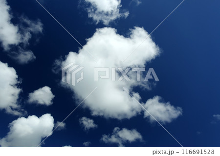 夏の沖縄 青い空と白い雲 夏の沖縄 青い空と白い雲 116691528