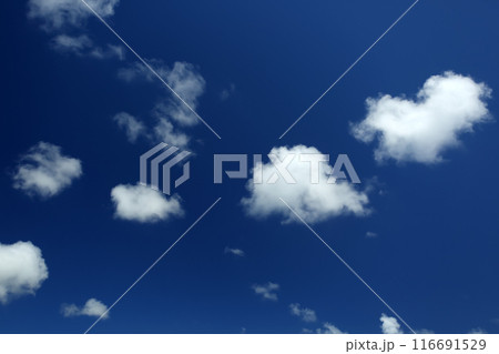 夏の沖縄　青い空と白い雲 116691529