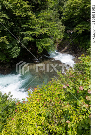 四万川の流れ　四万甌穴群 116691903