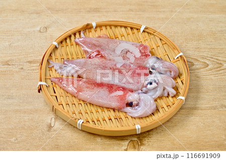 食材イメージ、剣先イカ、剣先いか、ケンサキイカ、剣先烏賊。 116691909