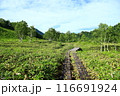 志賀高原トレッキング 116691924