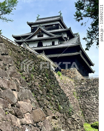 国宝松江城 国宝松江城 116692121