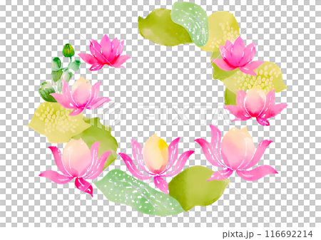 Red lotus flower frame on white background 116692214