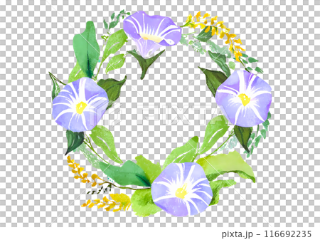 Morning glory flower wreath frame watercolor style Morning glory flower wreath frame watercolor style 116692235