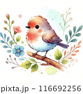 カラフルなかわいい小鳥 116692256
