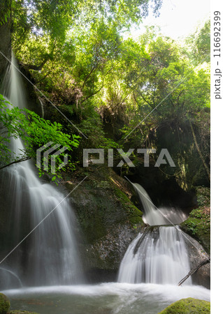 龍昇の滝 116692399