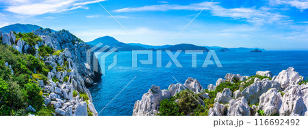 白崎海洋公園(7月 晴れ) 白崎海洋公園(7月 晴れ) 116692492