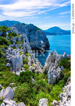 白崎海洋公園(7月　晴れ) 116692494