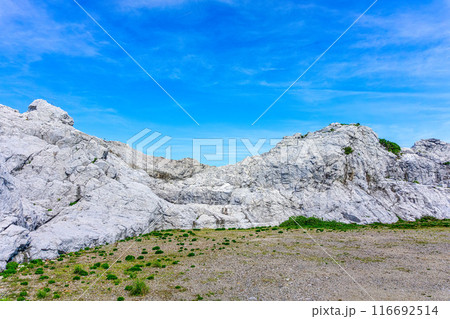 白崎海洋公園(7月 晴れ) 白崎海洋公園(7月 晴れ) 116692514