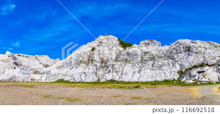 白崎海洋公園(7月 晴れ) 白崎海洋公園(7月 晴れ) 116692518