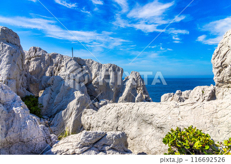 白崎海洋公園(7月 晴れ) 白崎海洋公園(7月 晴れ) 116692526