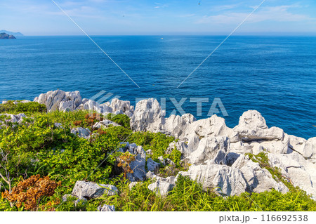 白崎海洋公園(7月 晴れ) 白崎海洋公園(7月 晴れ) 116692538