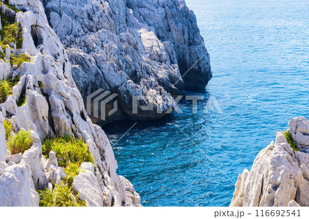 白崎海洋公園(7月 晴れ) 白崎海洋公園(7月 晴れ) 116692541