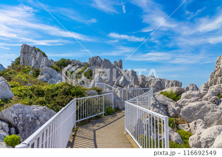 白崎海洋公園(7月 晴れ) 白崎海洋公園(7月 晴れ) 116692549