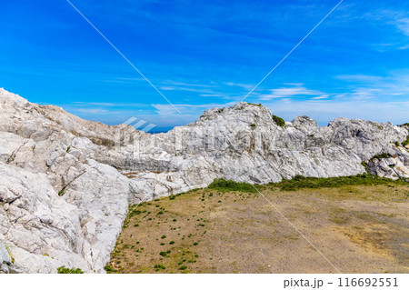 白崎海洋公園(7月 晴れ) 白崎海洋公園(7月 晴れ) 116692551