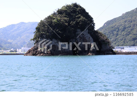 下田市の下田港の犬走島 116692585