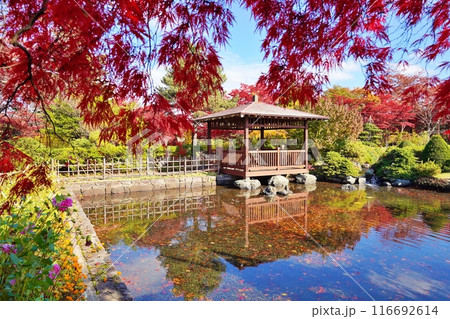 平岡樹芸センター(みどりーむ)の紅葉 116692614