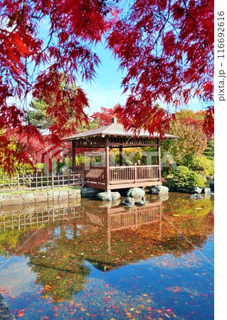 平岡樹芸センター(みどりーむ)の紅葉 116692616