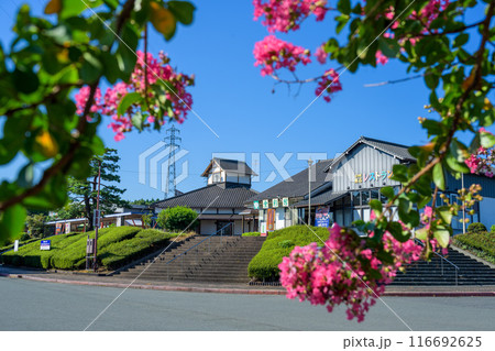サルスベリの花と西日本屈指の畜産王国、旭志にある道の駅 旭志　旭志村ふれあいセンター(菊池市旭志) 116692625