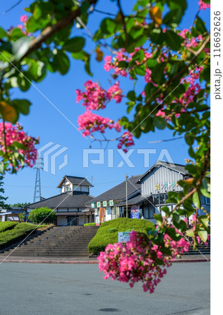サルスベリの花と西日本屈指の畜産王国、旭志にある道の駅 旭志　旭志村ふれあいセンター(菊池市旭志) 116692626
