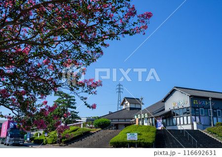サルスベリの花と西日本屈指の畜産王国、旭志にある道の駅 旭志 旭志村ふれあいセンター(菊池市旭志) サルスベリの花と西日本屈指の畜産王国、旭志にある道の駅 旭志 旭志村ふれあいセンター(菊池市旭志) 116692631