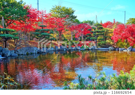 平岡樹芸センター(みどりーむ)の紅葉 116692654