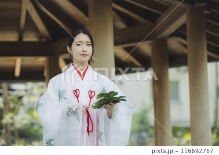 境内の巫女さん 116692787