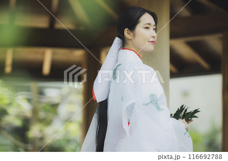 境内の巫女さん 116692788