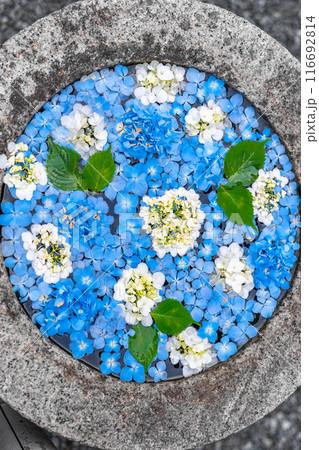 花の山寺、普門寺（岡山県真庭市田原山上)※作品コメント欄に撮影位置 116692814