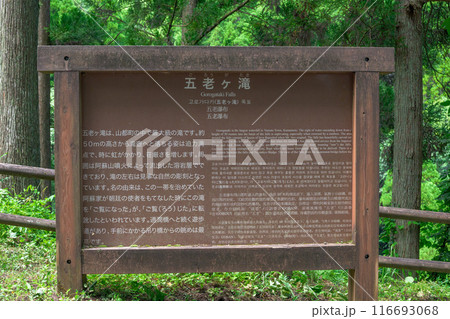 看板・案内板　遊歩道風景　五老ヶ滝（ごろうがたき）滝観光スポット高さ50メートルの滝　(山都町) 116693068