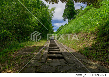 滝への道 遊歩道風景 五老ヶ滝(ごろうがたき)滝観光スポット高さ50メートルの滝 (山都町) 滝への道 遊歩道風景 五老ヶ滝(ごろうがたき)滝観光スポット高さ50メートルの滝 (山都町) 116693071