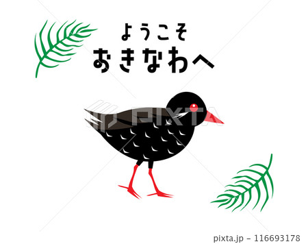 おきなわのヤンバルクイナとアレカヤシ 116693178