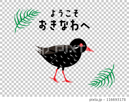 おきなわのヤンバルクイナとアレカヤシ 116693178
