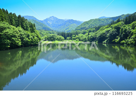 初夏の大源太湖・大源太山 鉄橋からの風景 新潟県湯沢町  初夏の大源太湖・大源太山 鉄橋からの風景 新潟県湯沢町  116693225