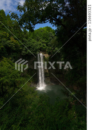 休憩所から観える新緑風景と五老ヶ滝（ごろうがたき）滝観光スポット高さ50メートルの滝　(山都町) 116693321