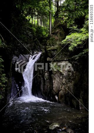 城山の滝 116693385