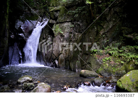 城山の滝 116693387
