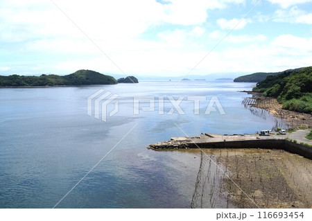 伊唐大橋とその周辺の風景　伊唐島　長島町　出水郡　鹿児島県 116693454