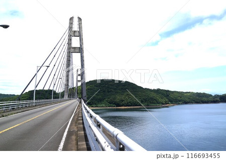 伊唐大橋とその周辺の風景　伊唐島　長島町　出水郡　鹿児島県 116693455