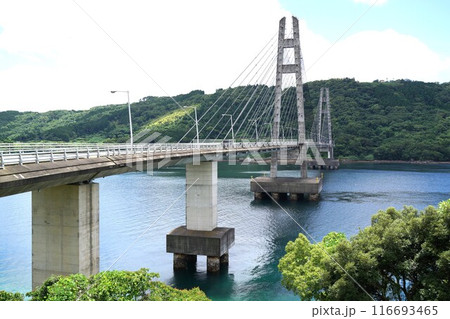伊唐大橋とその周辺の風景 伊唐島 長島町 出水郡 鹿児島県 伊唐大橋とその周辺の風景 伊唐島 長島町 出水郡 鹿児島県 116693465