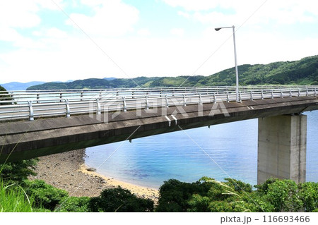 伊唐大橋とその周辺の風景 伊唐島 長島町 出水郡 鹿児島県 伊唐大橋とその周辺の風景 伊唐島 長島町 出水郡 鹿児島県 116693466