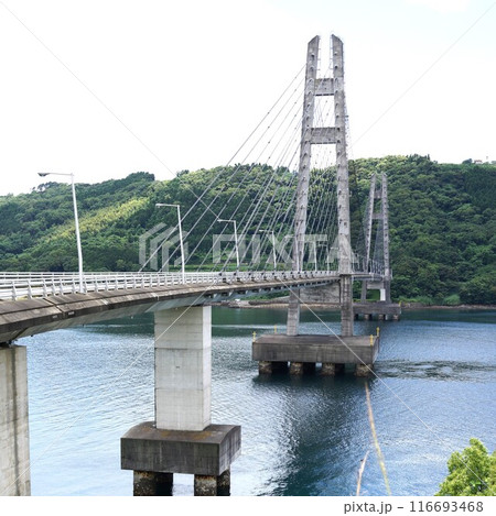 伊唐大橋とその周辺の風景　伊唐島　長島町　出水郡　鹿児島県 116693468