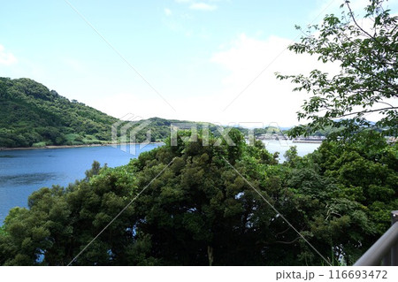 伊唐大橋とその周辺の風景 伊唐島 長島町 出水郡 鹿児島県 伊唐大橋とその周辺の風景 伊唐島 長島町 出水郡 鹿児島県 116693472