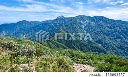 夏の雨飾山登山（笹平手前から焼山・金山方面の眺め） 116693557