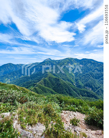 夏の雨飾山登山（笹平手前から焼山・金山方面の眺め） 116693558