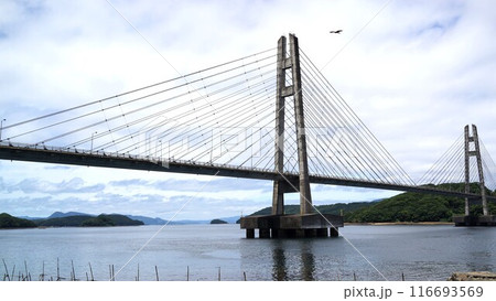 伊唐大橋とその周辺の風景　伊唐島　長島町　出水郡　鹿児島県 116693569